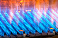 Trewidland gas fired boilers